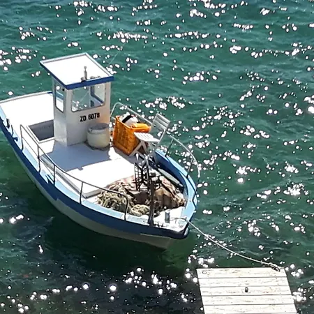 Augustino 3* Miletici