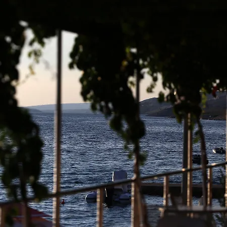 Augustino 3* Miletici