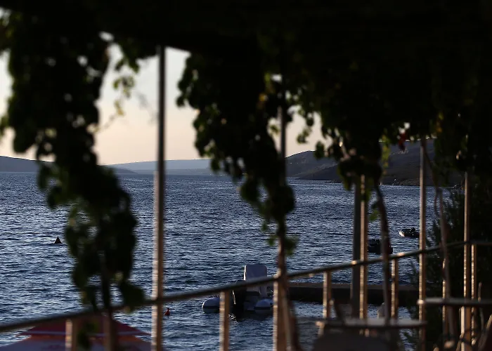 Augustino 3* Miletici